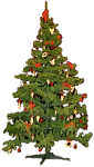 stromeek