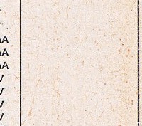 Katalogov list