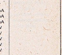Katalogov list